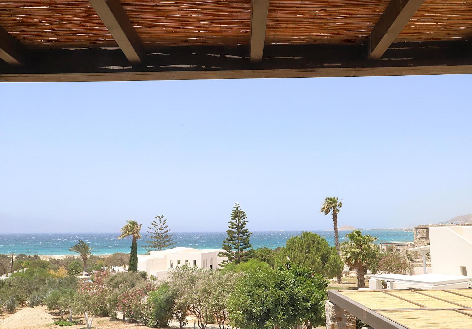 Villa Faros Small Hotel & Restaurant Aliko Beach Ngoại thất bức ảnh